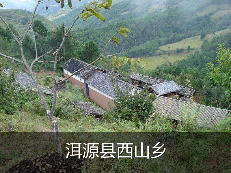 洱源县西山乡